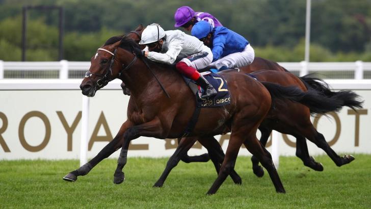 Palace Pier is the headline act at Deauville